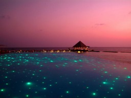 Abendromantik - Herrlich beleuchtet bietet sich jeden Abend eine wunderschöner Anblick auf den Poolbereich.